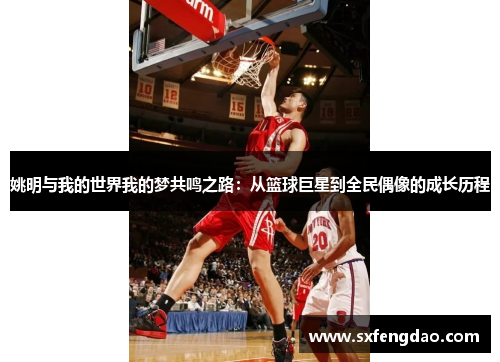 姚明与我的世界我的梦共鸣之路：从篮球巨星到全民偶像的成长历程