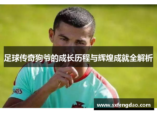 足球传奇狗爷的成长历程与辉煌成就全解析