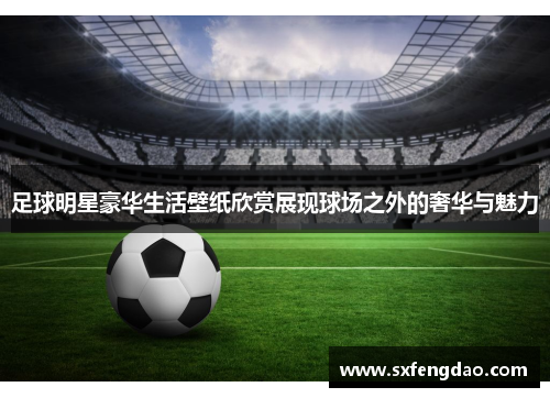 足球明星豪华生活壁纸欣赏展现球场之外的奢华与魅力