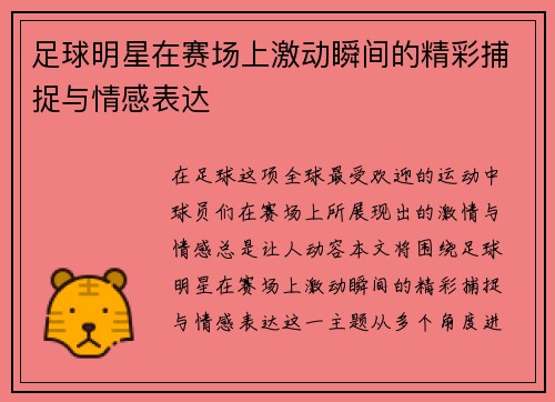 足球明星在赛场上激动瞬间的精彩捕捉与情感表达