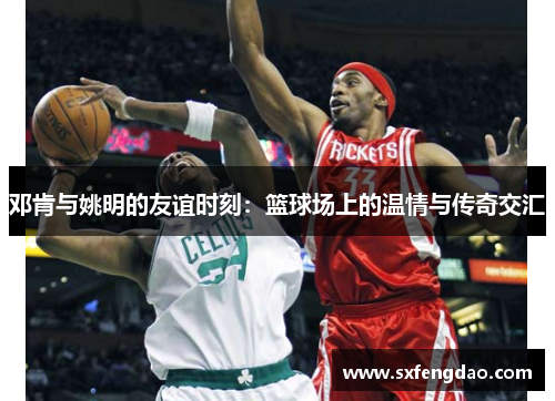 邓肯与姚明的友谊时刻：篮球场上的温情与传奇交汇