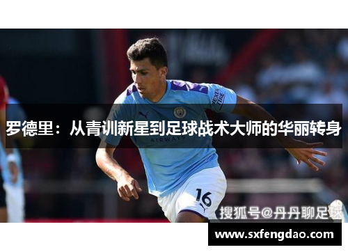罗德里：从青训新星到足球战术大师的华丽转身