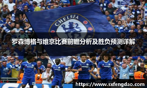 罗森博格与维京比赛前瞻分析及胜负预测详解